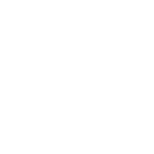 alyson schafer logo