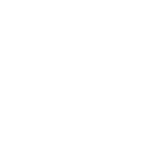 caa logo