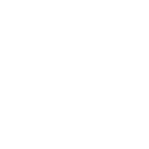 Farsight Homes Logo