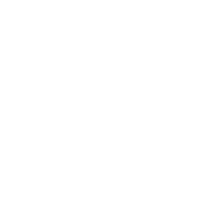 orbiiit logo