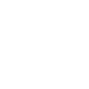 Orange Theory Logo