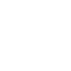 prudent financial logo