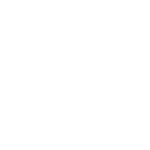 touro logo