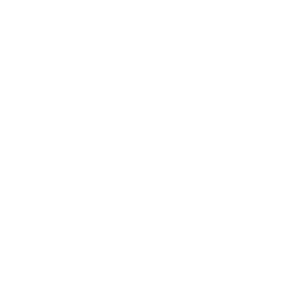 toys r us logo