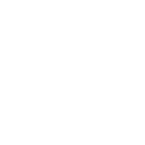 hytera logo