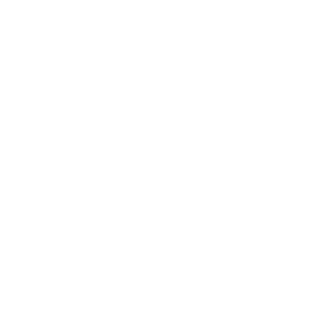 https://www.h2odigital.ca/wp-content/uploads/2026/03/WoofGang_Logo_White_300px-1.png